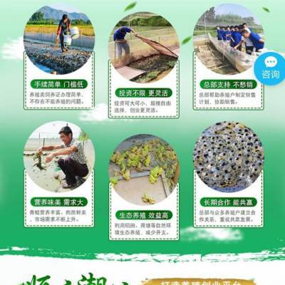 黑斑蛙的养殖周期长吗 蝌蚪长到青蛙一般要多久