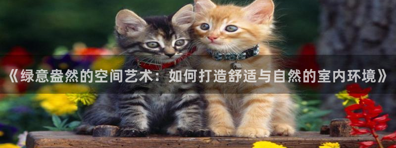沐鸣2平台黑款：《绿意盎然的空间艺术：如何打造舒适与自然的室