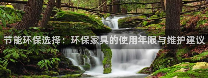 沐鸣2平台注册代理：节能环保选择：环保家具的使用年限与维护建