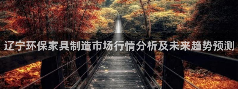 沐鸣2注册登录中心：辽宁环保家具制造市场行情分析及未来趋势预