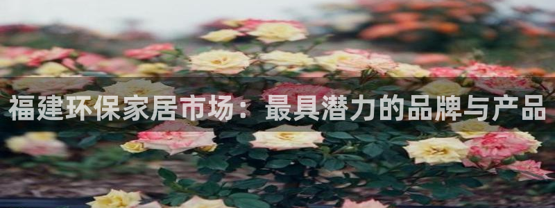 沐鸣2测速娱乐：福建环保家居市场：最具潜力的品牌与产品