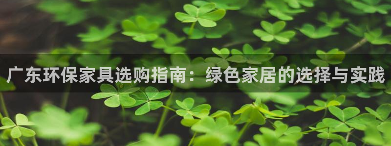 沐鸣2平台官方登录：广东环保家具选购指南：绿色家居的选择与实