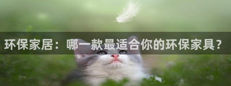沐鸣2平台首页登录：环保家居：哪一款最适合你的环保家具？