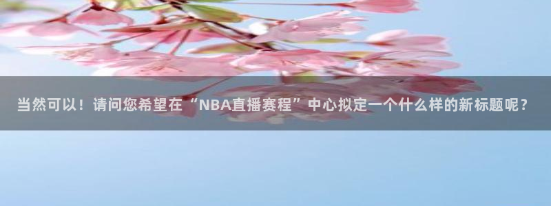 jr看直播nba