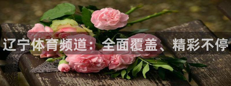 nba网站直播jrkan