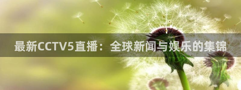 jrkan2023免费体育直播：最新CCTV5直播：全球新闻与娱乐的集锦